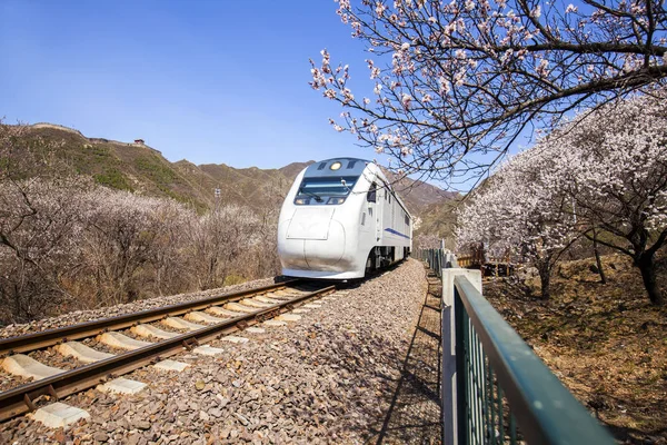 El tren en marcha —  Fotos de Stock