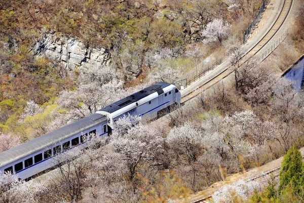 El tren en marcha , —  Fotos de Stock