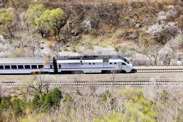 El tren en marcha , —  Fotos de Stock