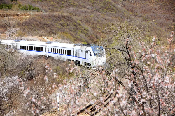 El tren en marcha , —  Fotos de Stock