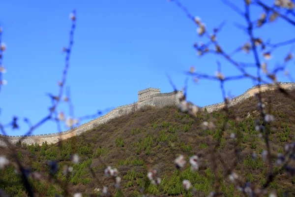 Den kinesiska muren — Stockfoto