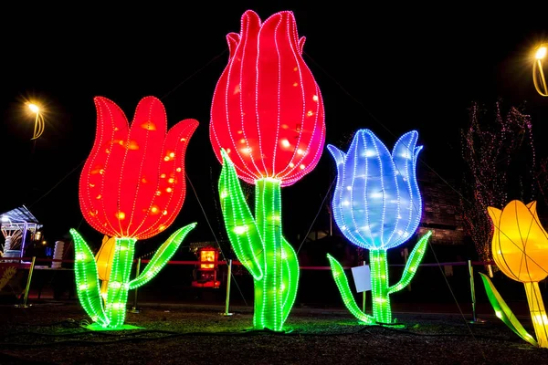Linternas chinas en la noche, la forma de las flores . — Foto de Stock