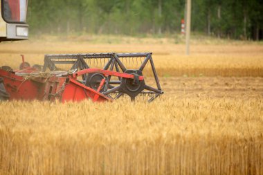 Çalışma hasat birleştirmek