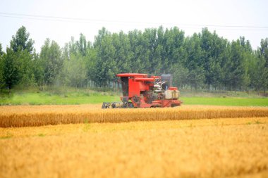 Çalışma hasat birleştirmek