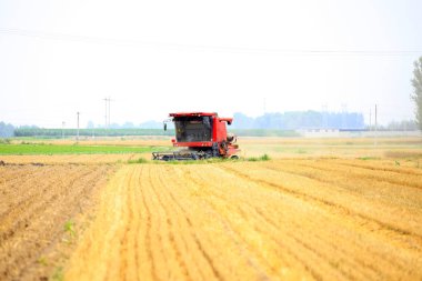Çalışma hasat birleştirmek