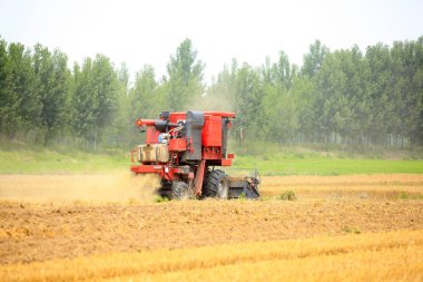 Çalışma hasat birleştirmek