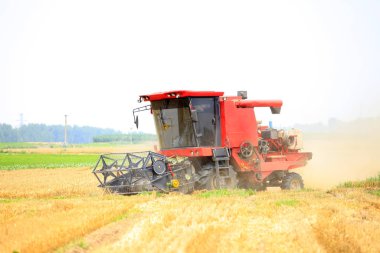 Çalışma hasat birleştirmek