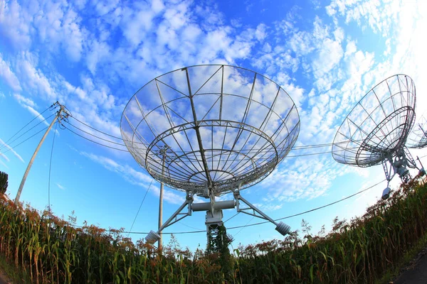 Radioteleskop – stockfoto