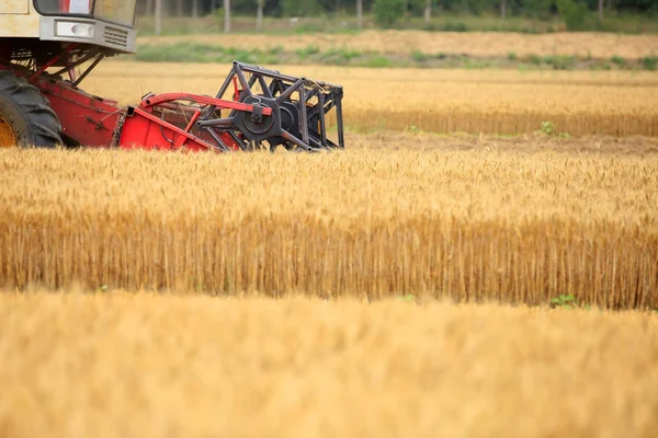 Combine harvester working — Stock Photo, Image