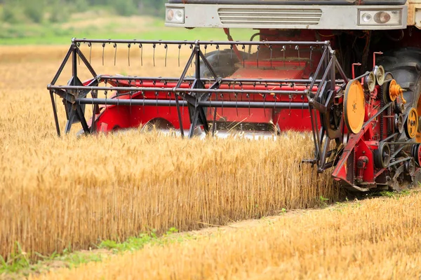 Combine harvester working — Stock Photo, Image