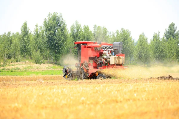 Combine harvester working — Stock Photo, Image