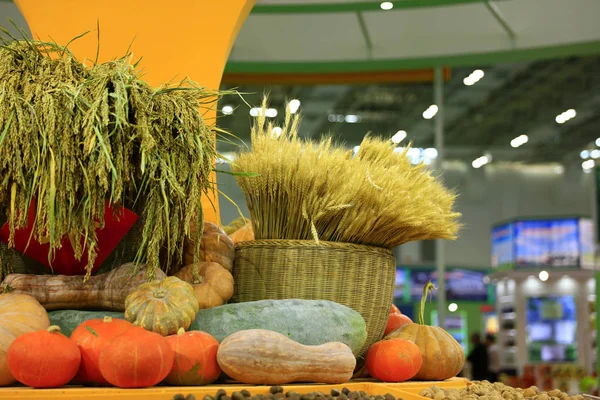 Légumes et céréales mûrs . — Photo