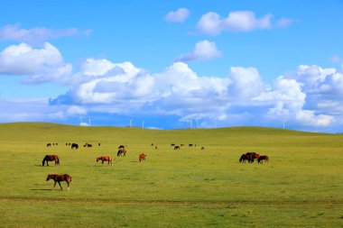 Horses and wind turbines in the grasslands clipart