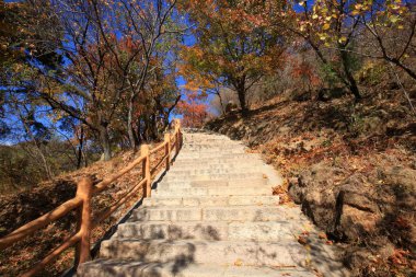 Dağın taş basamakları