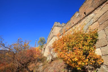 Sonbaharda Büyük Duvar