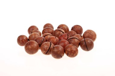 Macadamia fındık