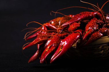 Kerevit, beyaz arka plan, yakın plan.