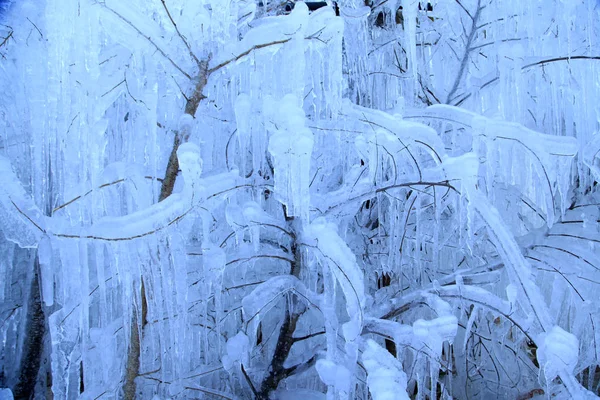 氷の滝 — ストック写真