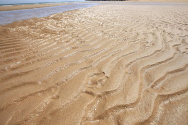 Deniz kenarındaki kum tanesi