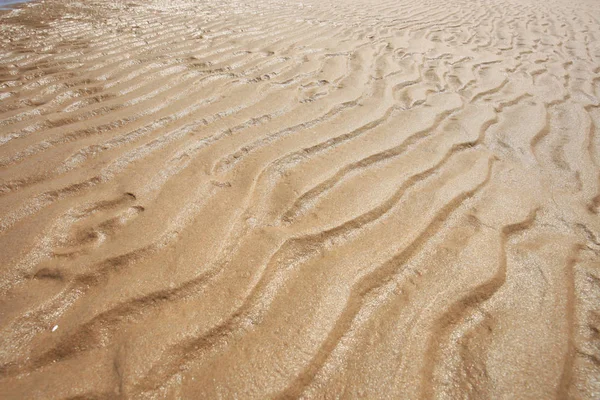 Ziarno piasku nad morzem — Zdjęcie stockowe