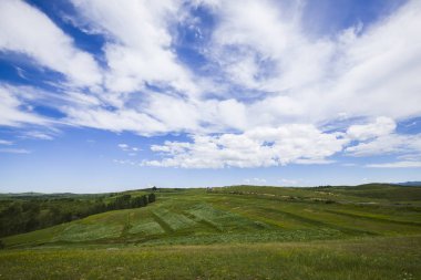 Otlağın güzel manzarası.