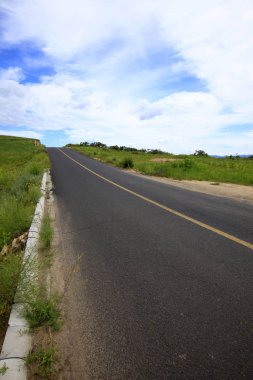 Otlakta asfalt yol