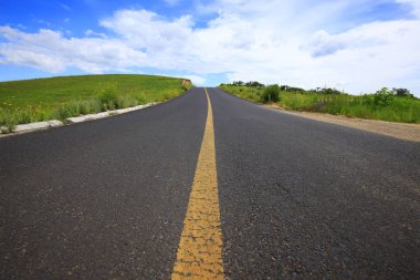 Otlakta asfalt yol