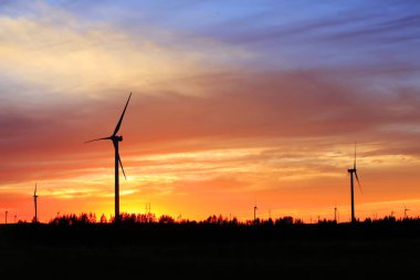 Rüzgar türbinleri akşam