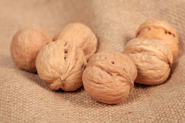 Walnut — Stock Photo, Image