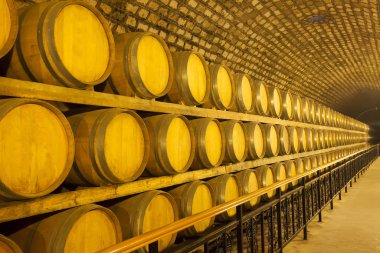 Şarap fıçıları mahzende yığılmış