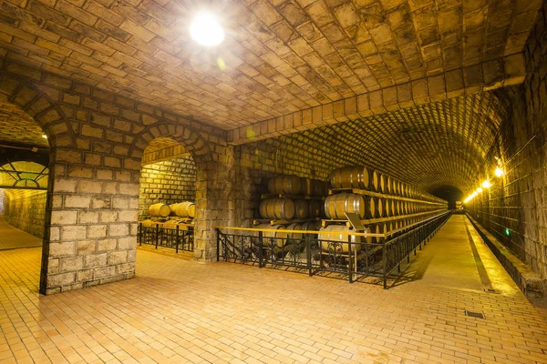 Wine barrels stacked in the cellar — Stock Photo, Image