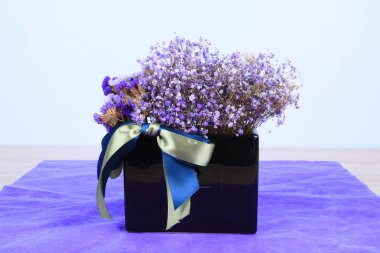 Kurumuş çiçekler, beyaz arka plan