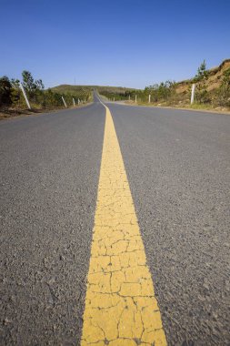 Otlakta asfalt yol