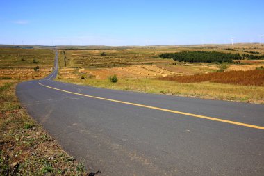 Otlakta asfalt yol