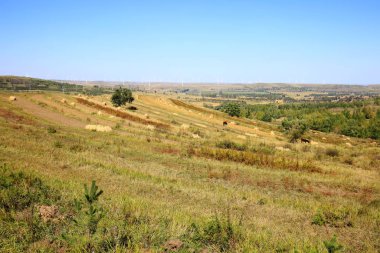 Sonbaharda teraslı tarlalar