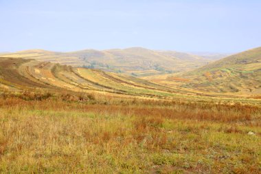 Sonbaharda teraslı tarlalar