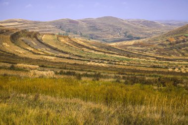 Sonbaharda teraslı tarlalar