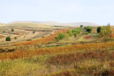 Sonbaharda teraslı tarlalar