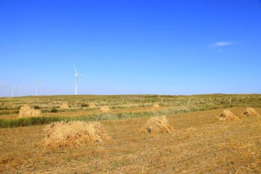 Sonbahar terasları ve rüzgar türbinleri