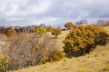 Sonbaharda, yamaçtaki ağaçlar