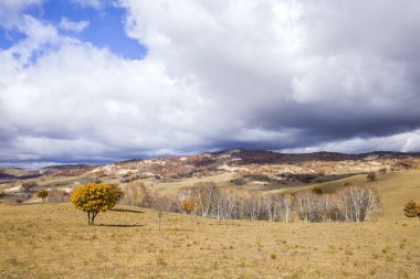 Sonbaharda, yamaçtaki ağaçlar