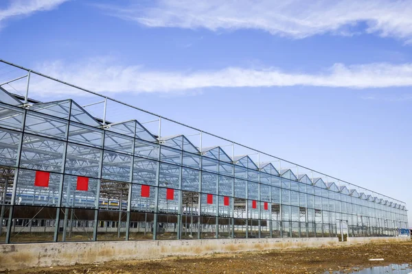 The new vegetable greenhouse — Stock Photo, Image