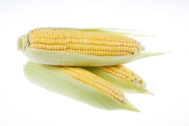 Mısırın yakın çekimi, beyaz arkaplan