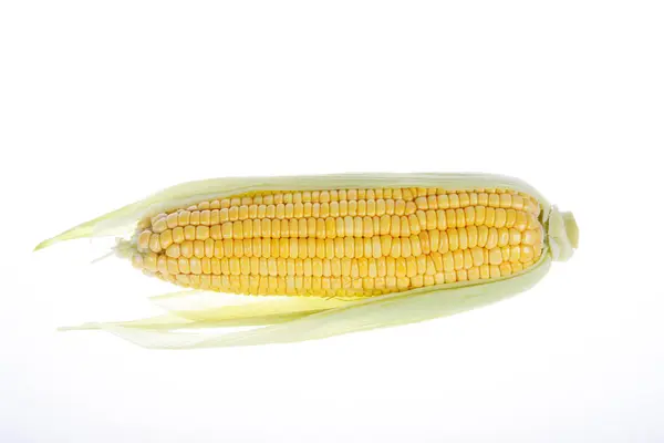 The close-up of corn, white background — Stock Photo, Image