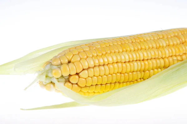 The close-up of corn, white background — Stock Photo, Image