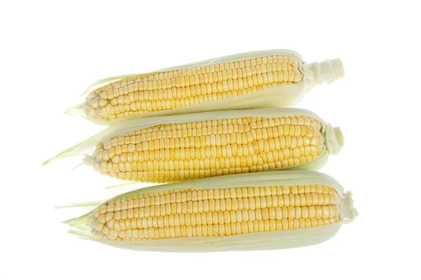 The close-up of corn, white background — Stock Photo, Image