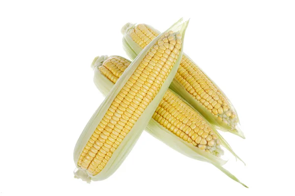 Il primo piano del mais, sfondo bianco — Foto Stock