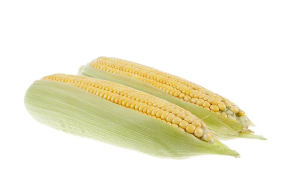 The close-up of corn, white background — Stock Photo, Image