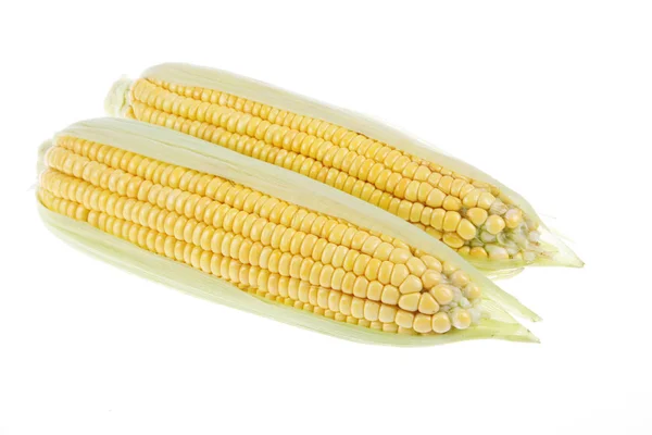 Крупный план кукурузы, белый фон — стоковое фото