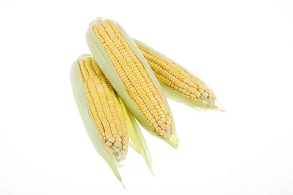 The close-up of corn, white background — Stock Photo, Image